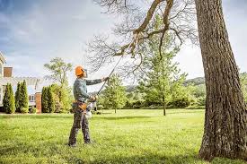 Landscape Design and Installation in Dent, OH