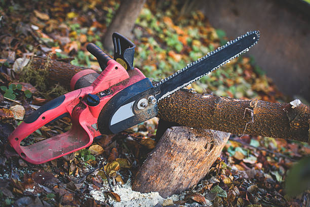 Best Leaf Removal  in Dent, OH